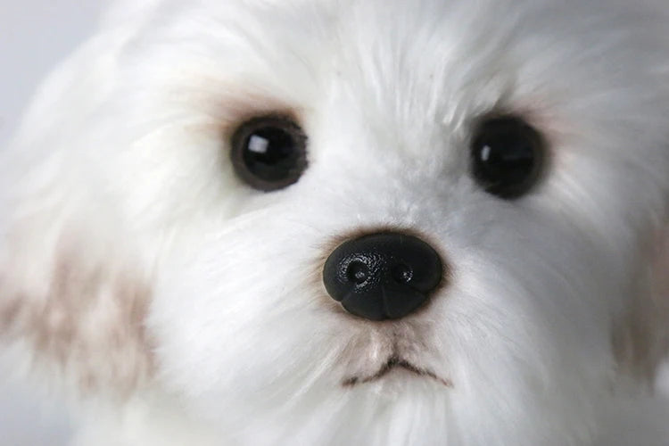 Maltese Stuffed Dog Dolls Plush Toy Cute Simulation Pets Fluffy Baby Birthday Gifts Christmas Children Malzis Puppy Dropshipping