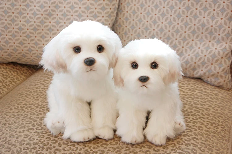 Maltese Stuffed Dog Dolls Plush Toy Cute Simulation Pets Fluffy Baby Birthday Gifts Christmas Children Malzis Puppy Dropshipping