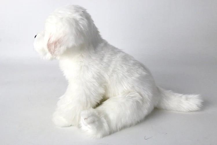 Maltese Stuffed Dog Dolls Plush Toy Cute Simulation Pets Fluffy Baby Birthday Gifts Christmas Children Malzis Puppy Dropshipping