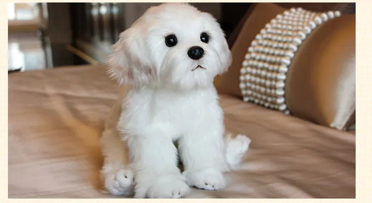 Maltese Stuffed Dog Dolls Plush Toy Cute Simulation Pets Fluffy Baby Birthday Gifts Christmas Children Malzis Puppy Dropshipping
