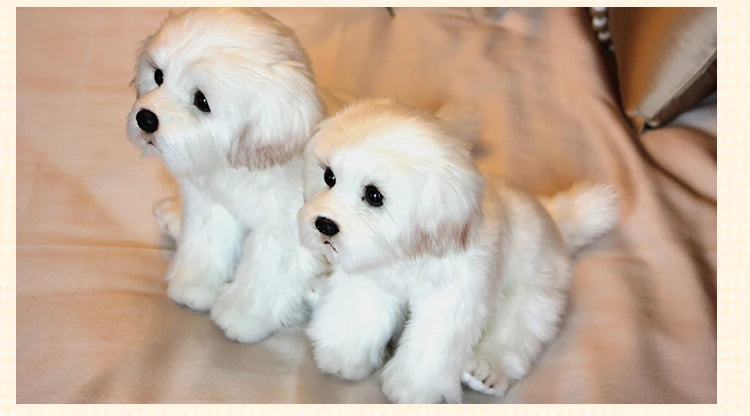 Maltese Stuffed Dog Dolls Plush Toy Cute Simulation Pets Fluffy Baby Birthday Gifts Christmas Children Malzis Puppy Dropshipping
